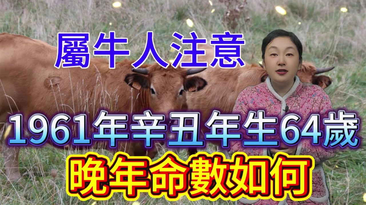 1961年 辛丑年生属牛人 64 岁 晚年命数大揭密，有何驚人轉折？晚年是福是禍？