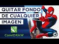 QUITAR FONDO de CUALQUIER IMAGEN en CorelDRAW | CREAR Designer