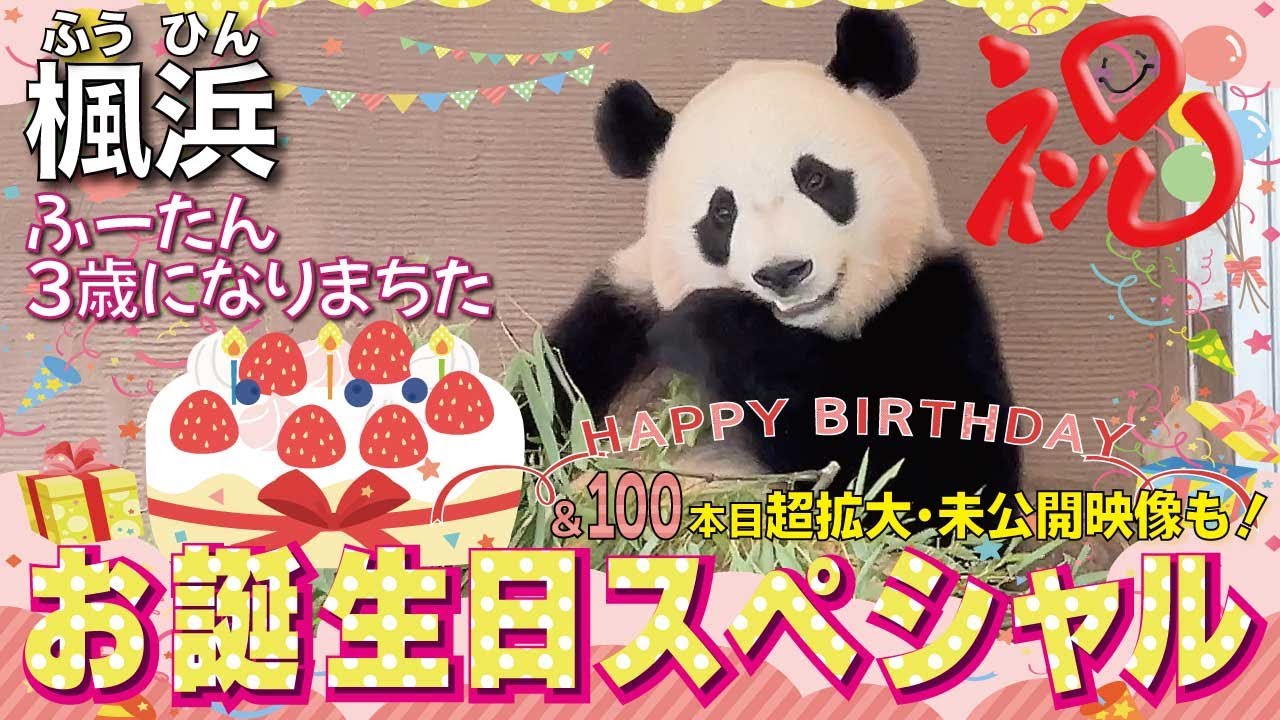 【楓浜（ふうひん）】㊗️🎊楓浜3歳お誕生日🎂超拡大スペシャル🎉笑い🤣と時には涙😢の激動の１年間をギュっと振り返り❣️未公開映像📹もあるよん😀