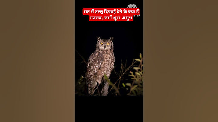 रात में उल्लू दिखाई देने के क्या हैं मतलब, जानें शुभ-अशुभ #ytstudio #trending #yt #viral #shortsfeed