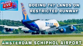 Download Lagu 🔴 LIVE: Amsterdam Schiphol Airport Plane Spotting + ATC | Sun 11th May 2025 MP3 Download Lagu 🔴 LIVE: Amsterdam Schiphol Airport Plane Spotting + ATC | Sun 11th May 2025 MP3