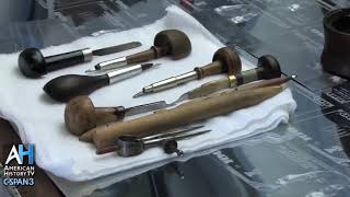 Charaxchaqaqstylusmarking Stick