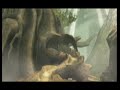 Beginning of video