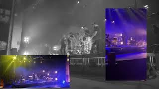 No Te Vayas Al Bosque - Hello Seahorse! feat. Ely Guerra