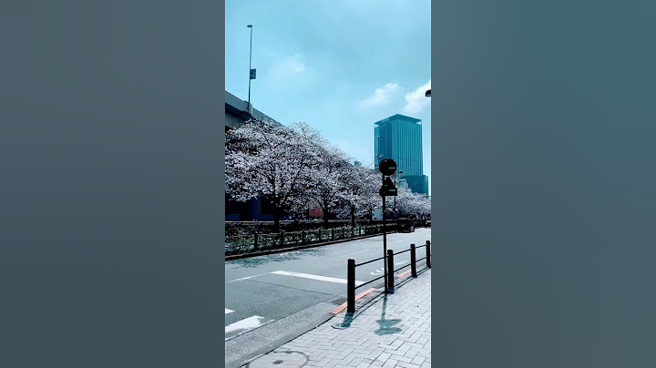 桜の名所が多い飯田橋エリア。ホテル周辺も桜が満開です。#shorts  #ホテルメトロポリタンエドモント #お花見スポット