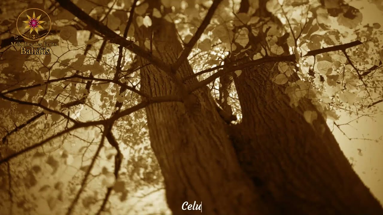 Importance de la prière prescrite et du jeûne