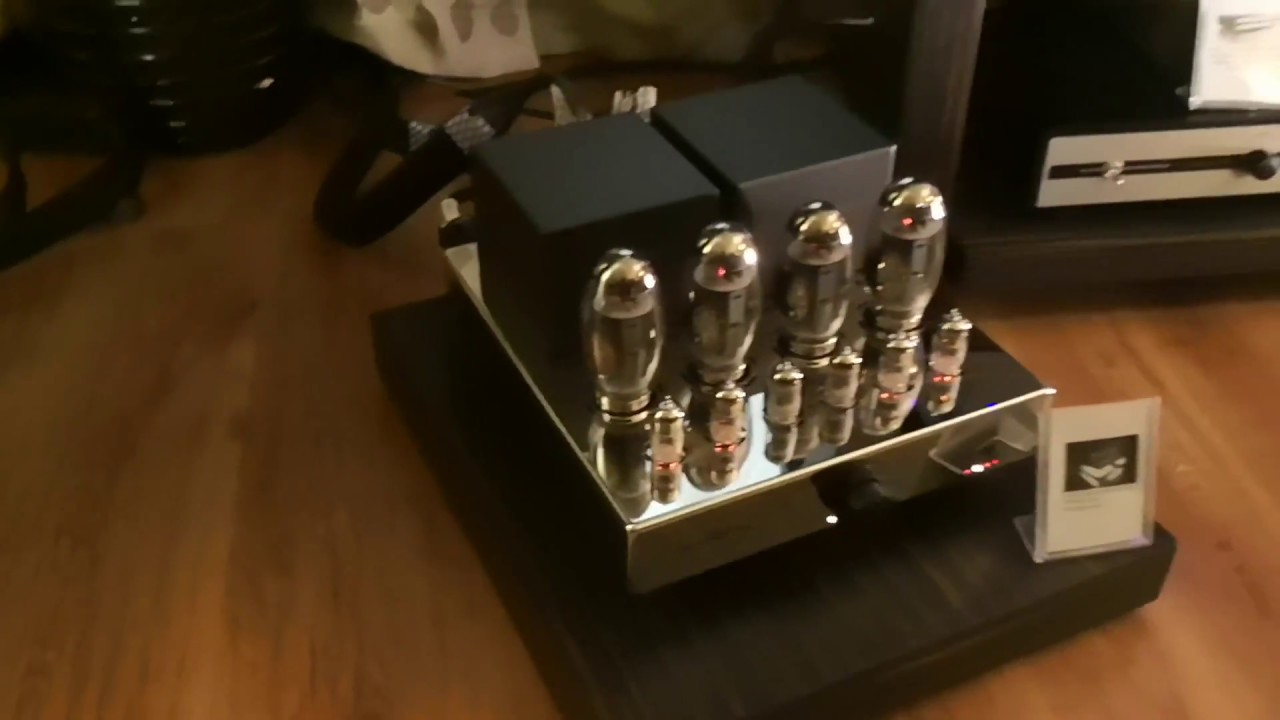 Chameleon Audio | Reed. AQ, Canary, Reference 3A