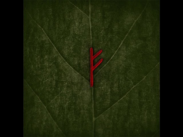 Watch Wardruna - Fehu ᚠ (Live in Sofia) (NDK) 25.02.16 on YouTube Watch Wardruna - Fehu ᚠ (Live in Sofia) (NDK) 25.02.16 on YouTube