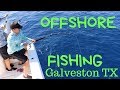 OFFSHORE Fishing Galveston Texas! (Amberjack, Mahi, King fish)