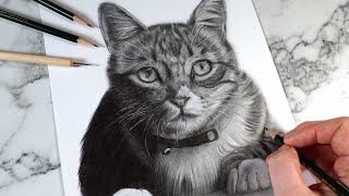 The EASY Way To Draw SUPER SOFT Realistic Fur - Graphite Pencil Drawing Tutorial screenshot 1