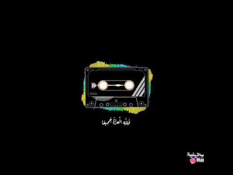 قران ايات قرانية فيديوهات تيك توك