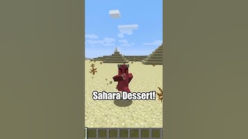 Geoguessr In Minecraft! #shorts