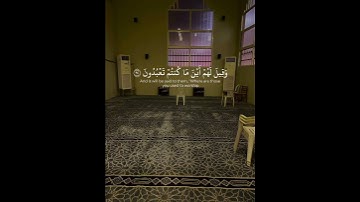 ﴿وَلا تُخزِني يَومَ يُبعَثونَ﴾ تلاوة آسرة من ياسر الدوسري