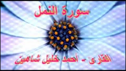 أحمد خليل شاهين - سورة النمل