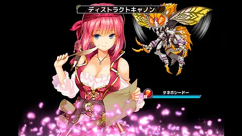 ガザニア 花 騎士