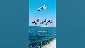 أنا لا أحقد ولا أخون لكنني لا أنسى أبدا 