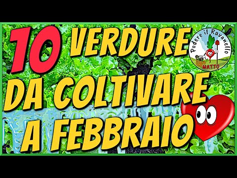 Video: Verdure da coltivare durante l'inverno - Scopri come coltivare verdure in inverno