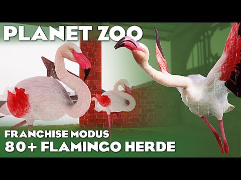 PLANET ZOO 80+ FLAMINGOS Planet Zoo Deutsch Franchise #27
