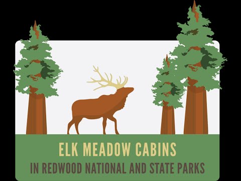 Elk Grazing On A Summer Day At Elk Meadow Cabins Youtube