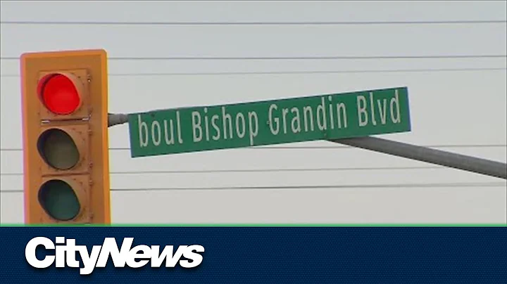 Winnipeg councillor got IRS denialism comments ahead of rename vote