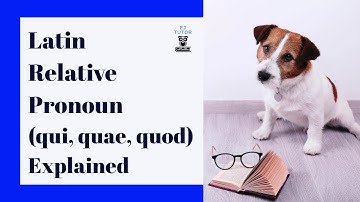Latin Relative Pronouns (and Relative Clauses) Explained