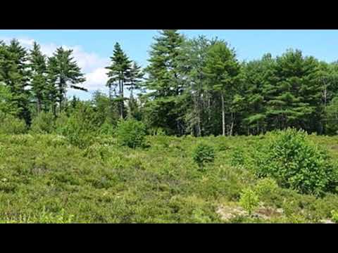 2 Lone Rock Meadow LN, Surry, ME home video tour