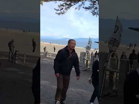 三保の松原の絶景富士山