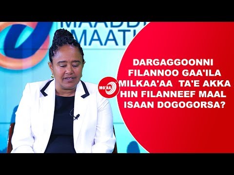Dargaggoonni Filannoo Gaa Ila Milkaa Aa Ta E Akka Hin Filanneef Maal Isaan Dogogorsa MAADDII MAA