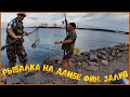 Рыбалка на финском заливе. Порт Бронка. юж. дамба.2023