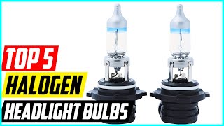 Best Halogen Headlight Bulbs 2022 [Top 5 Picks]