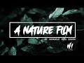 A Nature Film - by Hangout With Ishara | Cinematic Video | Sony a6000 | Ronin SC | Amazing Nature
