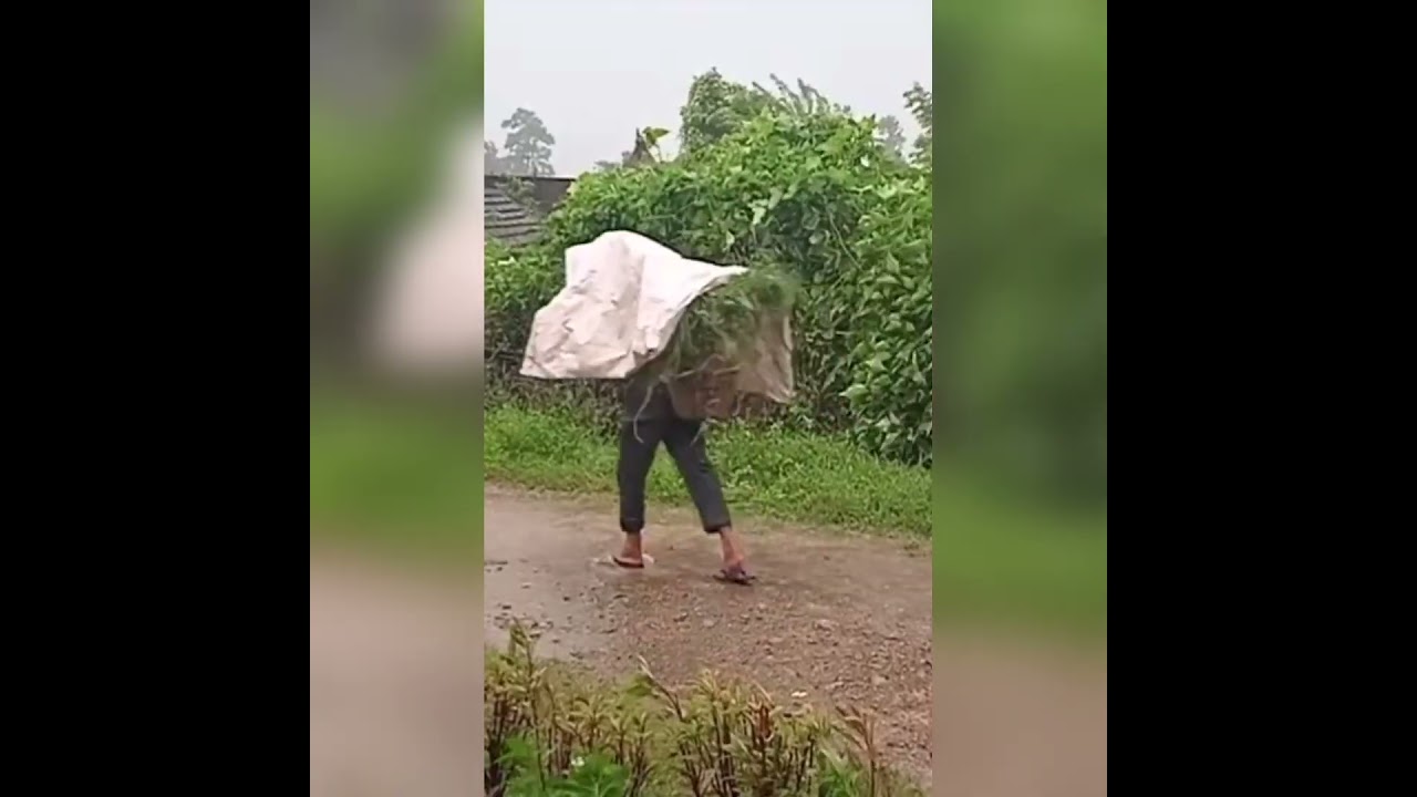কেমন থাকবে আগামী ৫ দিনের আবহাওয়া! #news #politicalnews #youtubeshorts #shorts