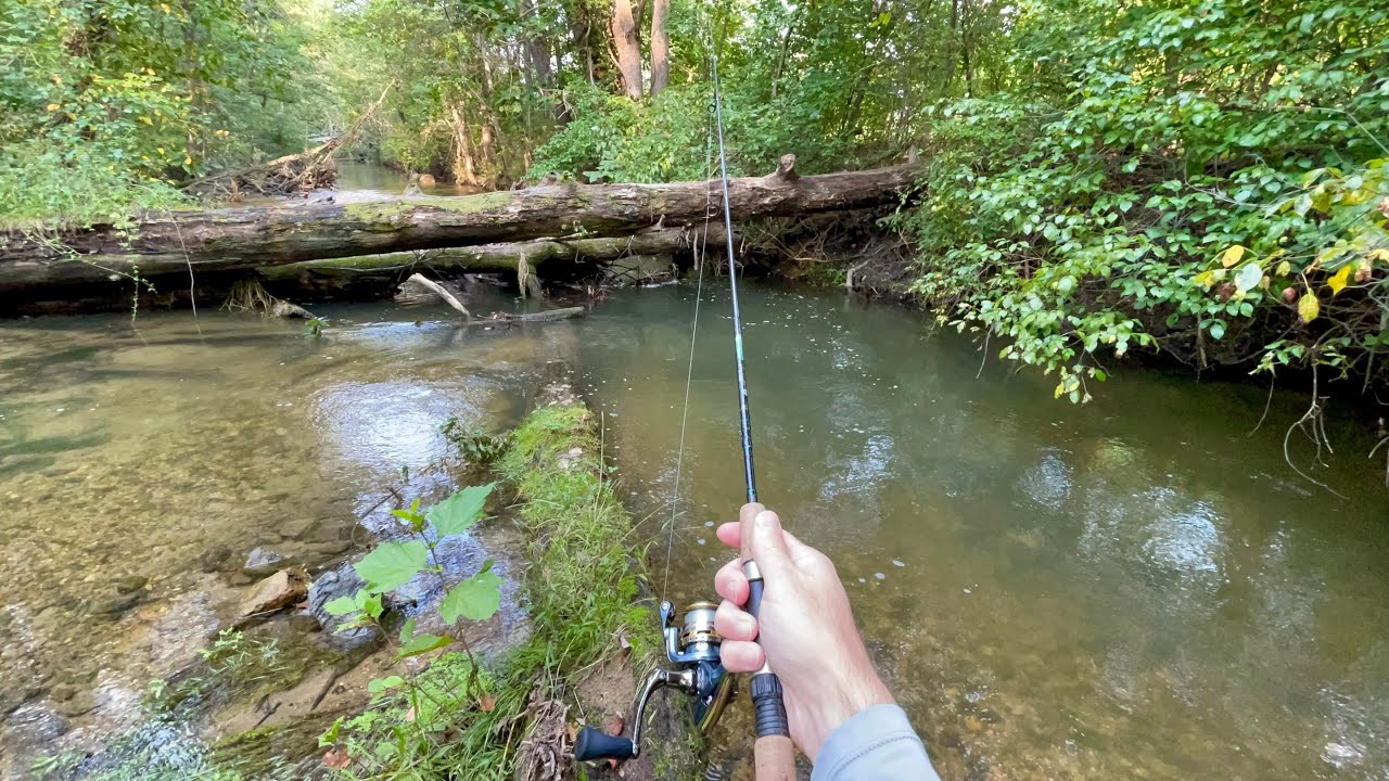 Small Creek Ultralight TROUT FISHING with Spinners 