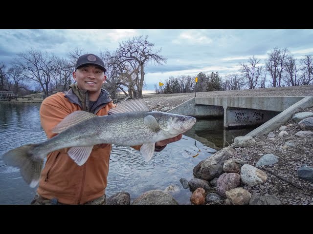 EPIC Spillway Walleye Shore Fishing! (I CAUGHT A GIANT) class=