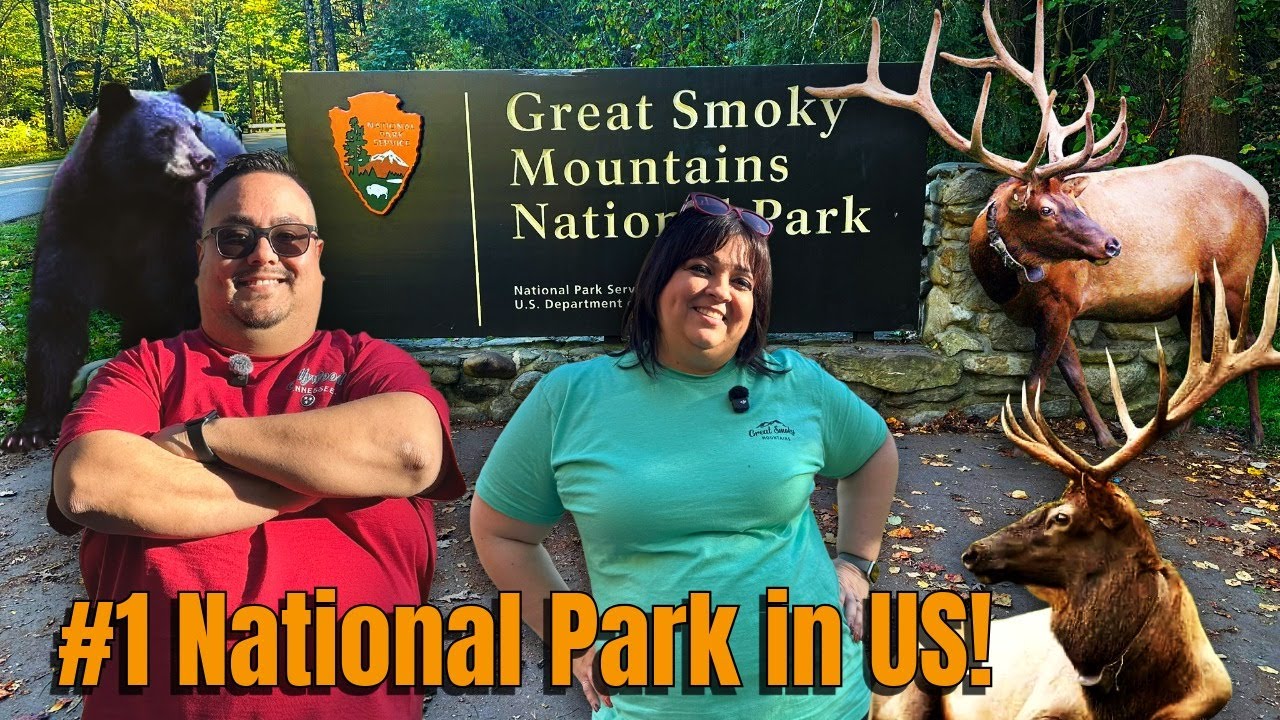 Исследование национального парка Смоки-Маунтинс