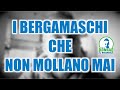 I bergamaschi che non mollano mai