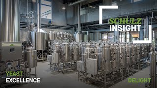 SCHULZ INSIGHT - Yeast excellence