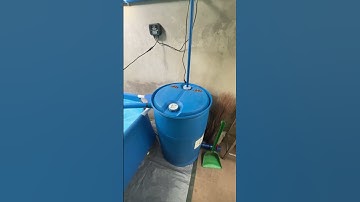 Trying biofloc technology “disinfection”