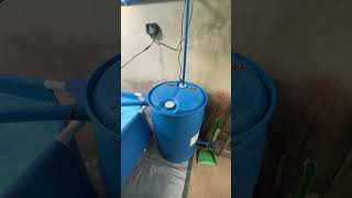 Trying biofloc technology “disinfection”