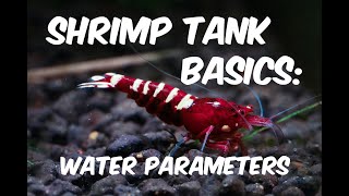 Shrimp Tank Basics: Water Parameters