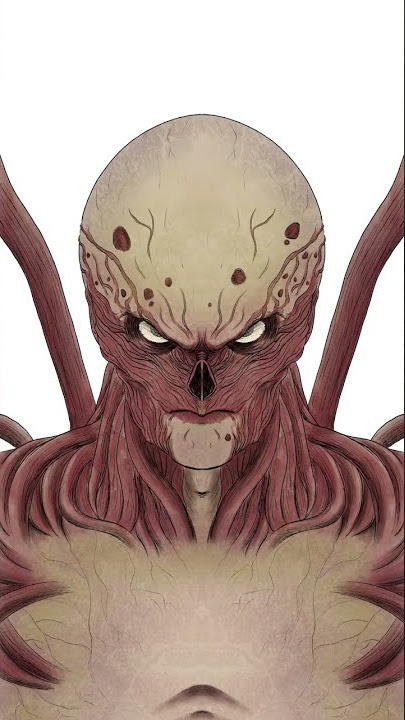 🕰The Process🕷