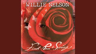 Willie Nelson - Don't Let the Old Man In Video