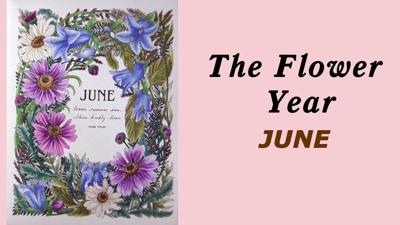 Colouring The Flower year by Leila Duly JUNE Ð Ð°ÑÐºÑ€Ð°ÑÐºÐ° Ð°Ð½Ñ‚Ð¸ÑÑ‚Ñ€ÐµÑÑ