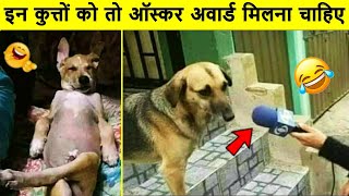 कुत्ते के लिए तालियां बजती रहनी चाहिए | Dog funniest moment caught on camera | indian funny animal