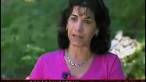 Deborah Estrin, 2008 WITI Hall of Fame Inductee