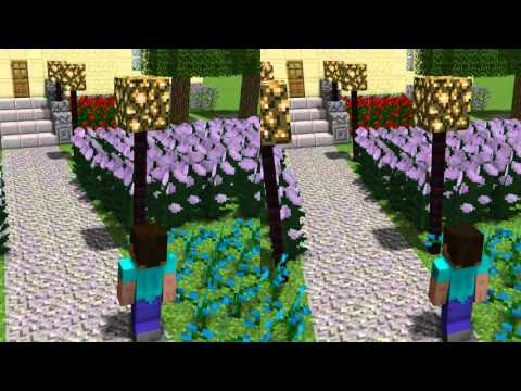 3D minecraft Crosseye animation