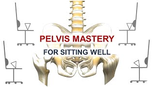 The Pelvis Posture Challenge: Feel Well To Sit Well