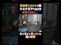 普段寝てばかりの猫❗️外出中見守りカメラを見てみると..猫の秘密 #癒し #猫 #可愛い #面白い #cat #funny #shorts