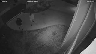 Burglars in Palmerston North, New Zealand 4