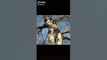 Con xin lỗi mẹ thiên nhiên